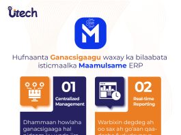 Digital Solutions ku Habboon Ganacsiyada Yaryar